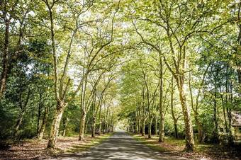 Camping Domaine De La Forge