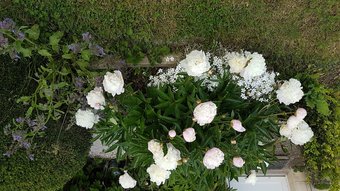 Hotel Chambres D'h�tes Au Repos Du Vannier