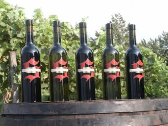 Hotel Weingut Seck