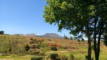 Posada Hogsback Inn