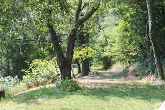 B&B Asinistravolti