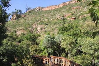 Black Leopard Camp