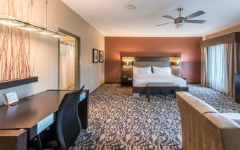 Hotel Holiday Inn Express & Suites North Dallas At Preston