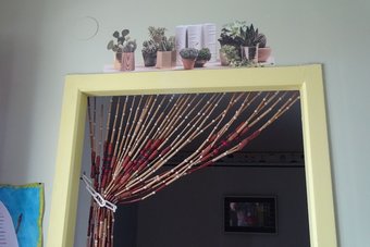 Ver fotos