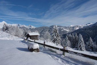 La Reine Des Neiges