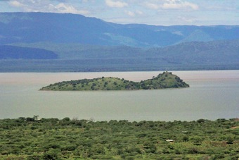 Ver fotos