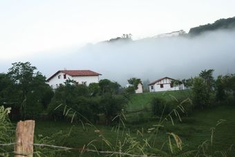 Ver fotos
