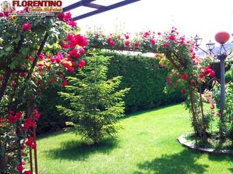 Apartamento Casas Rurales Florentino