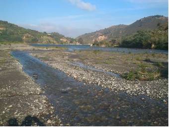 Hostal Los Naranjos