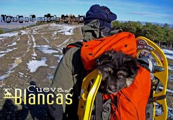 Ver fotos