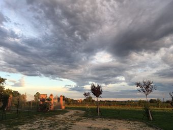 B&B Il Mio Gelso