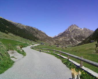 Ver fotos
