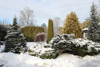 Apartamentos Champetre Studios