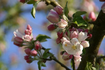 Gite Autour Du Puits