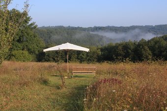 Ver fotos