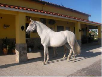 Hostal La Posada H�pica