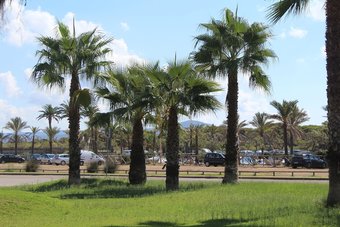 Hotel La Medusa