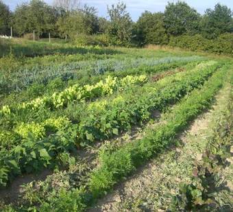 G�tes De La Ferme Auberge De M�sauboin