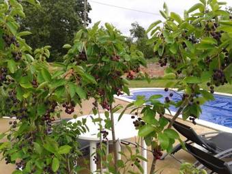 Bed & Breakfast Chambres D'h�tes Les Heures Claires