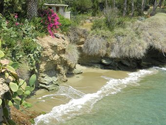 Ver fotos