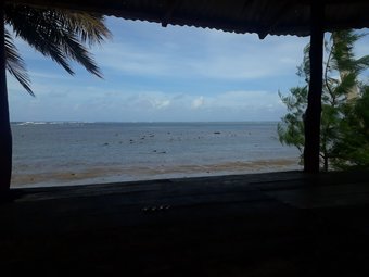 Ver fotos