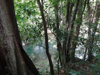 3 Rivers Eco Lodge