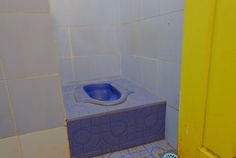 Ver fotos