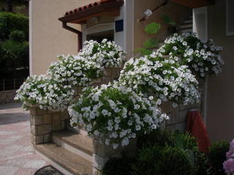 Apartments Vanda