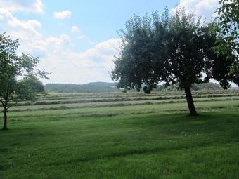 Spacious Holiday Home In Kleinwinklarn