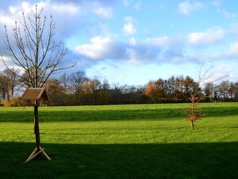 Staying In A Thatched Barn With Bedroom And Box Bed, Beautiful View, Achterhoek