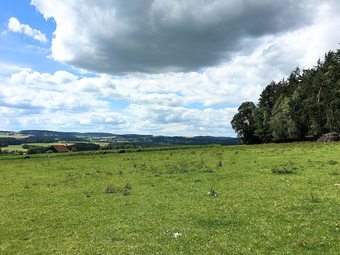 Modern Apartment Near Forest In Heinrichskirchen
