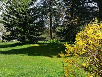 Comfortable Apartment In Tabarz Thuringia Near Forest