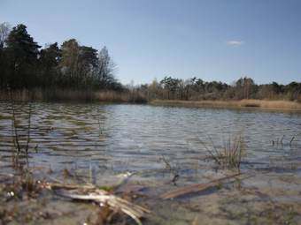Beautiful Chalet In Gilze En Rijen By The Forest