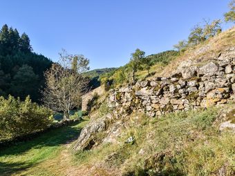 Quaint Holiday Home In Villeneuve-d'allier With Terrace