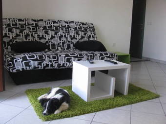 Apartments Basek