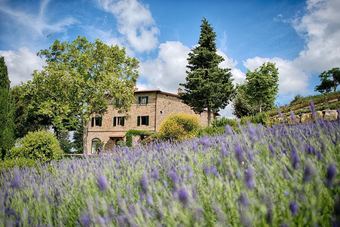 Apartamento Luxury Chianti Between Grapes