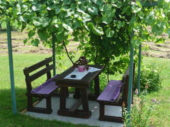 Ver fotos