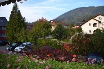 Hotel Gasthaus Auerhahn