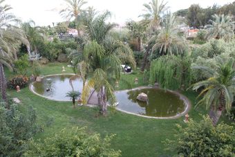 Hotel Mediterraneo
