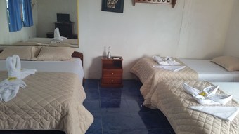 Ver fotos