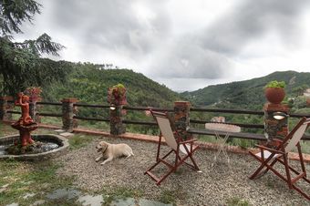 Ver fotos