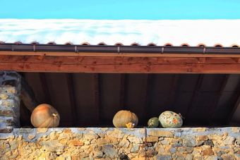 Agroturismo Casa Rural Areano