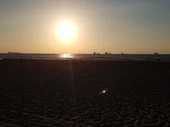 Ver fotos