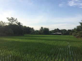 Ver fotos