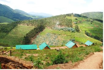 Posada Nyungwe Eco Village
