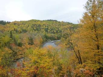 Rivi�re Petit Saguenay