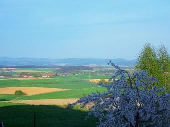 Apartamento Ferienwohnung Schwarzwihr