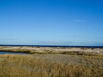 Firth View