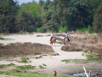 Attractive Bungalow With A Terrace At The Bedafse Bergen