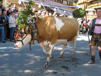 Modern Apartment In Salzburg With Garden